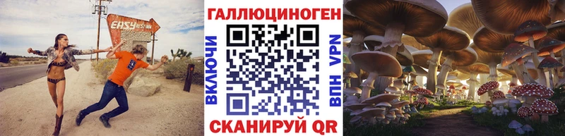 Галлюциногенные грибы мицелий  как найти   Гусь-Хрустальный 